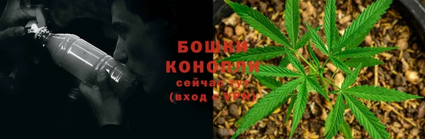 мяу мяу мука Лабытнанги