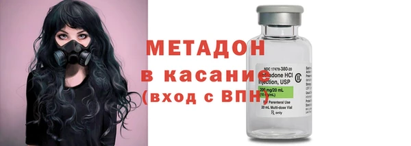 прущие грибы Куйбышев