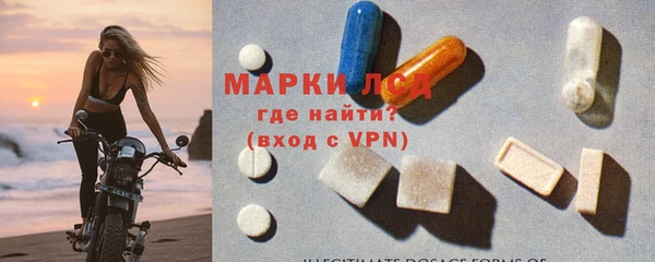 прущие грибы Куйбышев