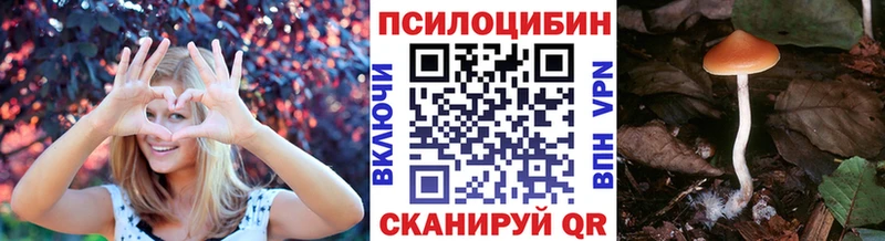 даркнет сайт Тосно Псилоцибиновые грибы Psilocybine cubensis