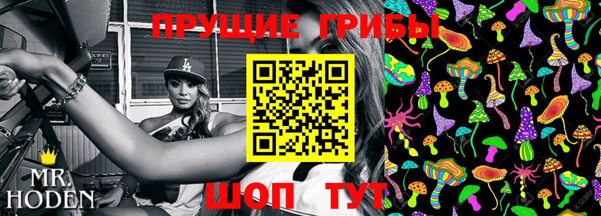 Псилоцибиновые грибы мицелий  Вход с VPN  Тосно  Галлюциногенные грибы прущие грибы 